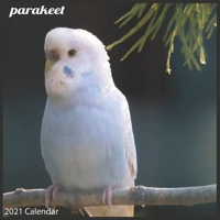 parakeet 2021 Calendar: Official parakeet Wall Calendar 2021 null Book Cover