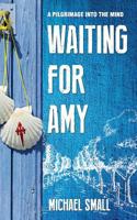 Waiting for Amy: A Pilgrimage Into The Mind 1916061508 Book Cover