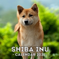Shiba Inu: 2021 Calendar, Cute Gift Idea For Shiba Inu Lovers Or Owners Men And Women B08R9X6SB3 Book Cover