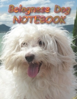 Bolognese Dog NOTEBOOK: notebooks and journals 110 pages (8.5x11) 1692716964 Book Cover