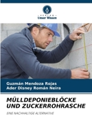 Mülldeponieblöcke Und Zuckerrohrasche (German Edition) 6208384958 Book Cover