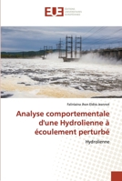 Analyse comportementale d'une Hydrolienne à écoulement perturbé 620343003X Book Cover