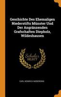 Geschichte Des Ehemaligen Niederstifts Münster Und Der Angränzenden Grafschaften Diepholz, Wildeshausen 1017817367 Book Cover