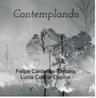 Contemplando B0DTH1LB7C Book Cover