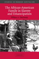 The African-American Family in Slavery and Emancipation 0521012163 Book Cover