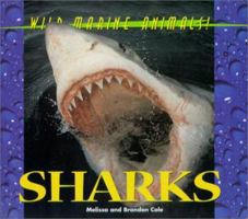 Sharks 1567114423 Book Cover