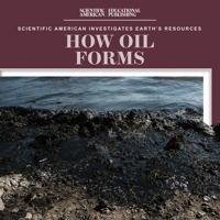 How Oil Forms 1725352761 Book Cover