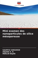 Mini examen des nanoparticules de silice mésoporeuse 6206117200 Book Cover