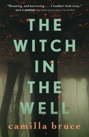 The Witch In The Well 1250302072 Book Cover