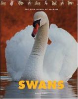 Swans: The Wild World of Animals 1583413545 Book Cover