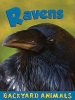 Ravens (Backyard Animals) 1605960829 Book Cover