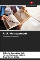 Risk Management 6207000331 Book Cover