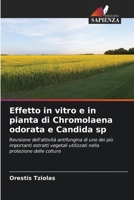 Effetto in vitro e in pianta di Chromolaena odorata e Candida sp (Italian Edition) 6208368448 Book Cover