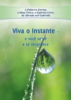 Viva o Instante: e você se vê e se reconhece (Portuguese Edition) 3964462233 Book Cover