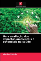 Uma avaliação dos impactos ambientais e potenciais na saúde 6204026607 Book Cover