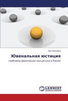 Ювенальная юстиция: проблемы реализации концепции в России 3843322813 Book Cover