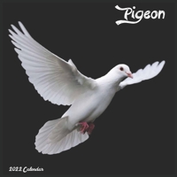Pigeon 2022 Calendar: Official Columbidae Birds Calendar 2022 B093R7XSQ7 Book Cover