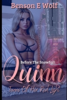 Before the Snowfall: Quinn Turns Off Her Red Light B09WQ5PFL1 Book Cover