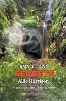 Small Town Secrets 173757845X Book Cover