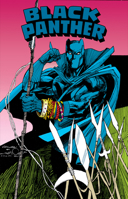 Black Panther: Revenge Of The Black Panther Omnibus Denys Cowan Cover 1302967657 Book Cover