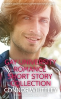 Gay University Romance Short Story Collection: 5 Sweet Gay University Romance Short Stories 1917181396 Book Cover