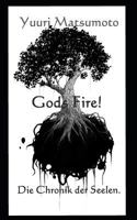 God's Fire: Die Chronik der Seelen 179688491X Book Cover