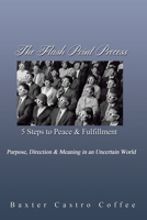 The Flash Point Process: 5 Steps to Peace & Fulfillment 0692127291 Book Cover