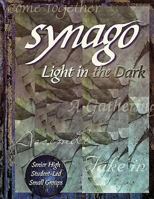 Synago: Light in the Dark : Senior High Student-Led Small Groups (Synago) 0687049334 Book Cover