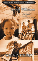 Water Street 0813169100 Book Cover