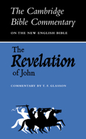 Revelation to John (Cambridge Bible Commentaries on the New Testament) 0521092566 Book Cover