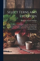 Select Ferns and Lycopods: British and Exotic: Comprising Descriptions of Nine Hundred and Fifty Choice Species and Varieties, Accompanied by ... in the Tropical, Temperate, and Hardy Fernery 1021647888 Book Cover