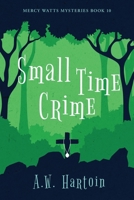 Small Time Crime : Mercy Watts Mysteries 10 1952875137 Book Cover