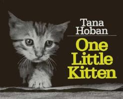 One Little Kitten 0590308947 Book Cover