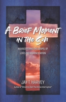 A Brief Moment In The Son: Rediscovering the Gospel of Love and Reconciliation 1689190205 Book Cover