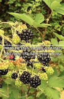Proteins And Amino Acids In Nutrition 1406747300 Book Cover