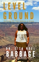 LEVEL GROUND: Utilizing the Four Spheres of Grace B08GFTLNT3 Book Cover