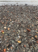 Jutten 9464363142 Book Cover