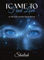 I Came to Find Love: or Breadcrumbs Back Home B0GKX1J6KM Book Cover