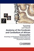 Anatomy of the Forebrain and Cerebellum of African Grasscutter: Morphology and Morphometry of the Forebrain and Cerebellum of African Grasscutter 3843351554 Book Cover