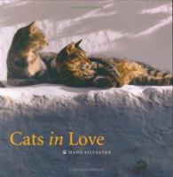 Cats in Love 0811853519 Book Cover