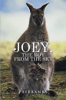 Joey, the Boy from the Sky 1524516384 Book Cover