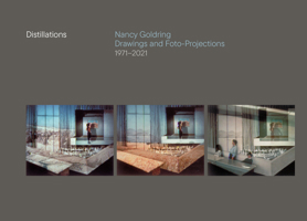 Distillations: Nancy Goldring Drawings and Foto-Projections 1971–2021 1954081669 Book Cover