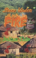 Stone Under Fire B0CR6ZFTWZ Book Cover