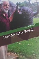 Meet Me at the Buffalo B0C87BZNC8 Book Cover