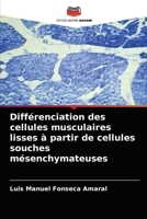 Différenciation des cellules musculaires lisses à partir de cellules souches mésenchymateuses 6204065963 Book Cover