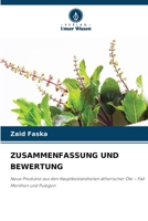 Zusammenfassung Und Bewertung 6207232461 Book Cover