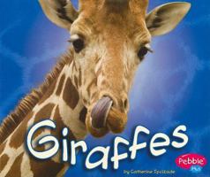 Giraffes (Pebble Plus) 1429612460 Book Cover