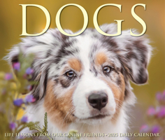 Dogs 2025 6.2 X 5.4 Box Calendar 1549240811 Book Cover