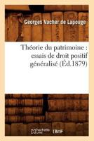 Tha(c)Orie Du Patrimoine: Essais de Droit Positif Ga(c)Na(c)Ralisa(c) (A0/00d.1879) 2012772498 Book Cover