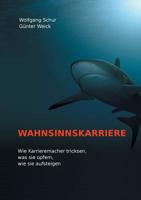 Wahnsinnskarriere: Wie Karrieremacher tricksen, was sie opfern, wie sie aufsteigen 3752625910 Book Cover